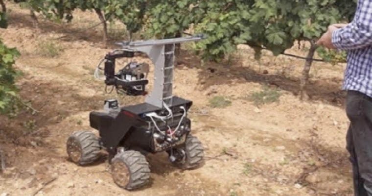 Nueva tecnología permitirá detectar y evaluar plagas y daños en cultivos