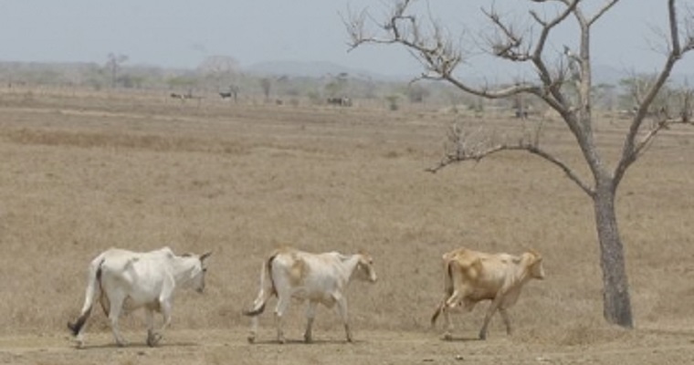 Déficit de lluvias seguirá hasta agosto, advierte el Ideam