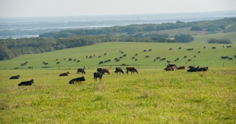 ¿Ya se montó en las tendencias del negocio agropecuario?