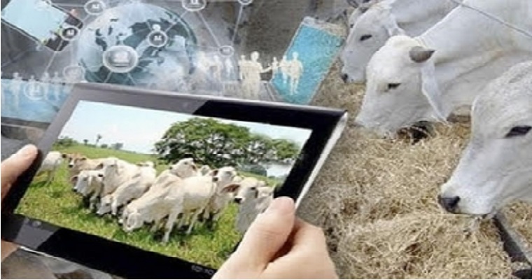 En 15 años los países en vía de desarrollo producirán 3/4 de la comida mundial