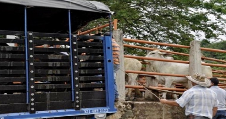 Amplían plazo de inscripción para el incentivo al transporte