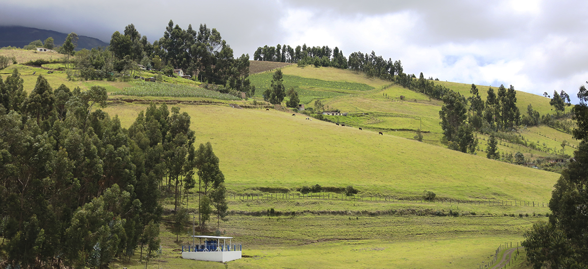 Más de 7.000 hectáreas de tierra para víctimas del conflicto,Tolima - 19 de septiembre de 2016