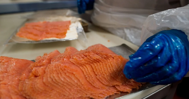 Desde Grupo Éxito impulsan producción de trucha como alternativa a cultivo ilícitos