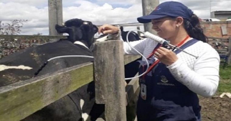 Tips para antes, durante y después de la vacunación