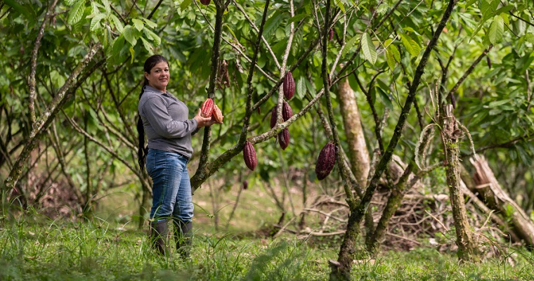 Trabajamos por la trazabilidad del cacao de Colombia