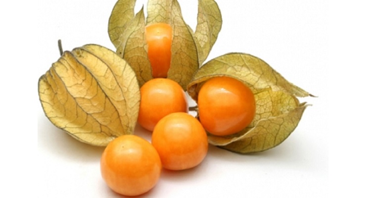 Frutas y hortalizas de Norte de Santander apuntan a Europa