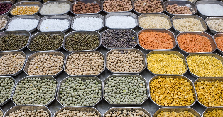 Día Mundial de las Legumbres de 2024: destacar el papel vital de las legumbres en la promoción de la salud del suelo y la nutrición de las personas