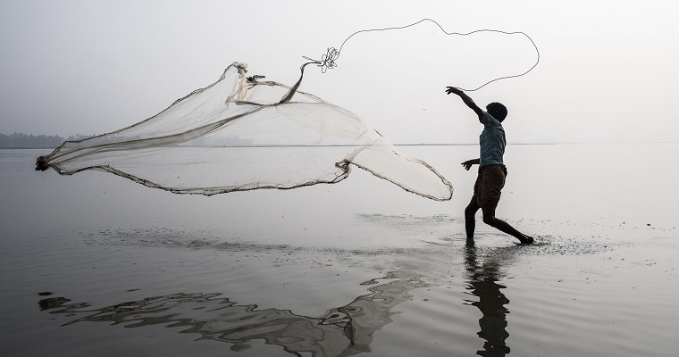 Se lanza nuevo Plan de Acción para la Estrategia de la FAO para la integración de la biodiversidad en todos los sectores agrícolas