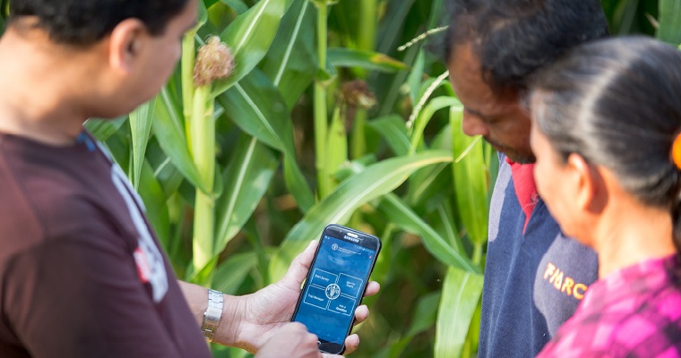 La FAO destaca la importancia de la tecnología en el Día Internacional de la Sanidad Vegetal