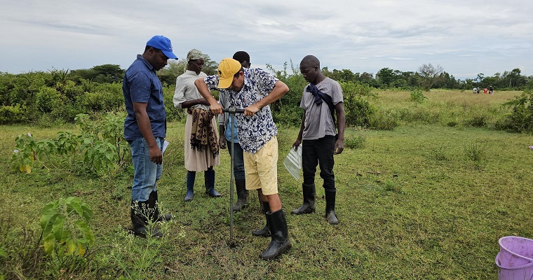 Entendiendo la biodiversidad del suelo
