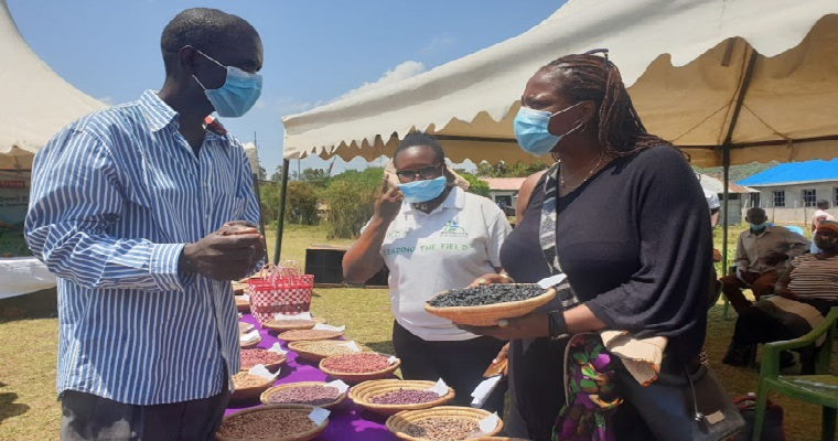 Los investigadores presionan para que los bancos de semillas garanticen la diversidad y la seguridad alimentaria