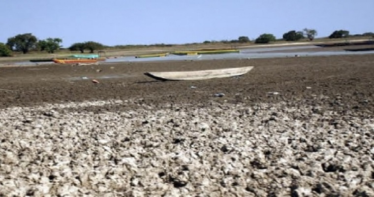 Preocupación en Bolívar por mortalidad de ganado a raíz de la fuerte sequía