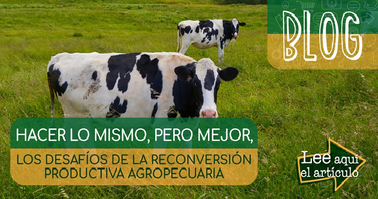 Hacer lo mismo pero mejor, La base de la reconversión productiva agropecuaria