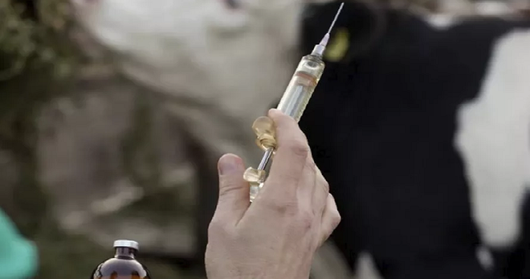 ¿Por qué debería detener la desparasitación general del ganado y cómo hacerlo?