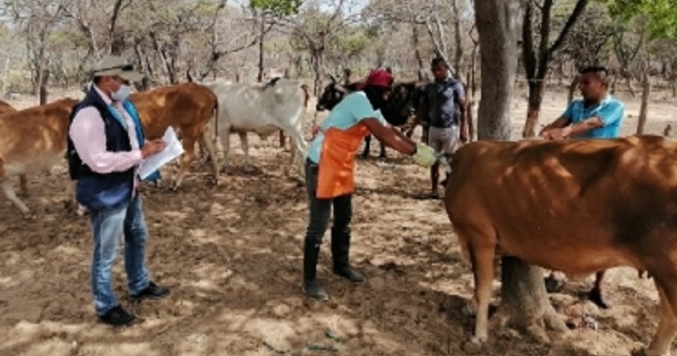 El ciclo de vacunación ya se está aplicando en el 100 % del territorio nacional
