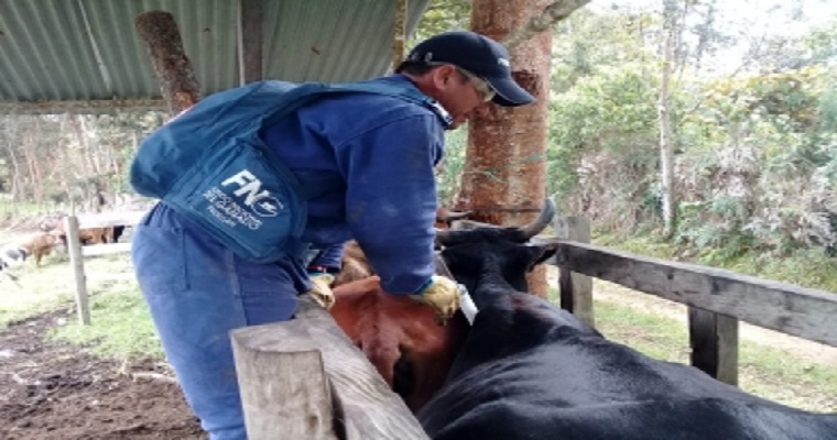 Cero papel e información en tiempo real, novedades del próximo ciclo contra aftosa