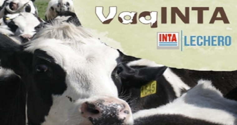 Herramienta informática facilita análisis de sistemas productivos