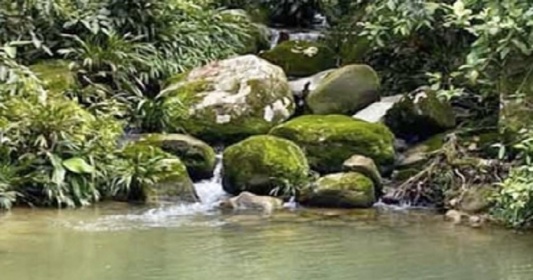 Minambiente reglamenta el reúso de aguas residuales en el país