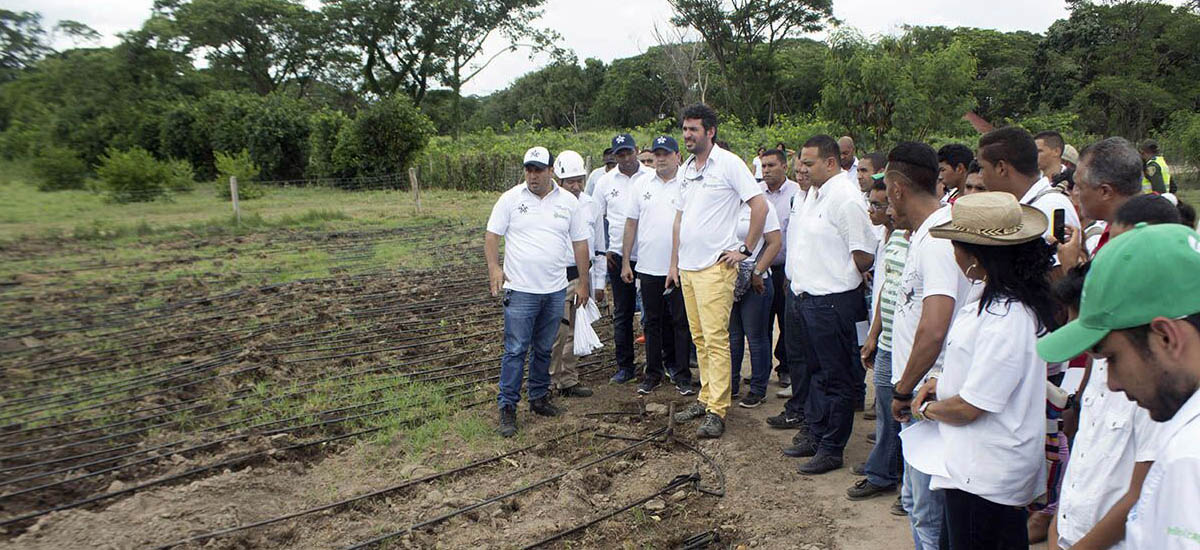 MinAgricultura y Sena emprenden implementación de modelo internacional de educación rural - 30 de septiembre de 2016