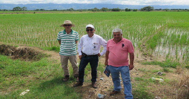 ViMaZ, un sistema de información geográfico para el distrito de riego del Zulia y sus zonas de influencia.