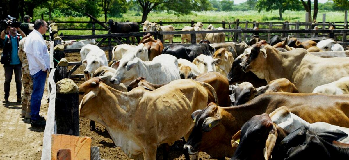 Ministro Iragorri y autoridades locales adelantaron jornada de control sanitario y monitoreo de semovientes en La Guajira - 12 de agosto de 2017