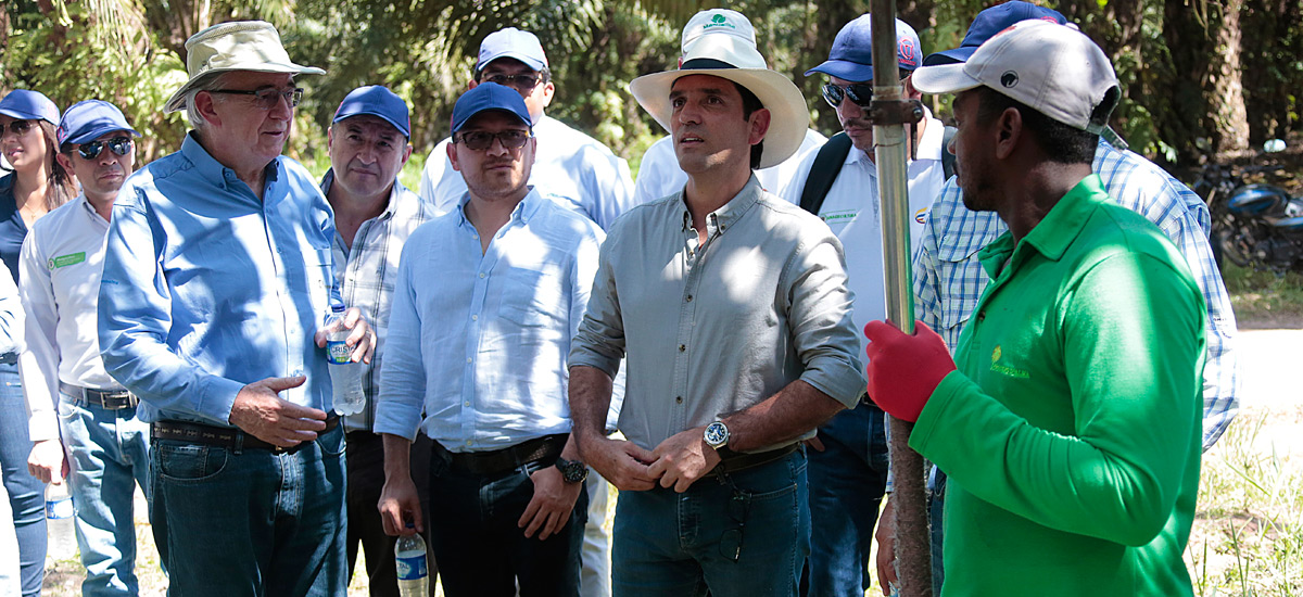 Gracias a trabajo conjunto, el presente año cierra con buenos resultados para el sector de la palma - 21 de diciembre de 2017