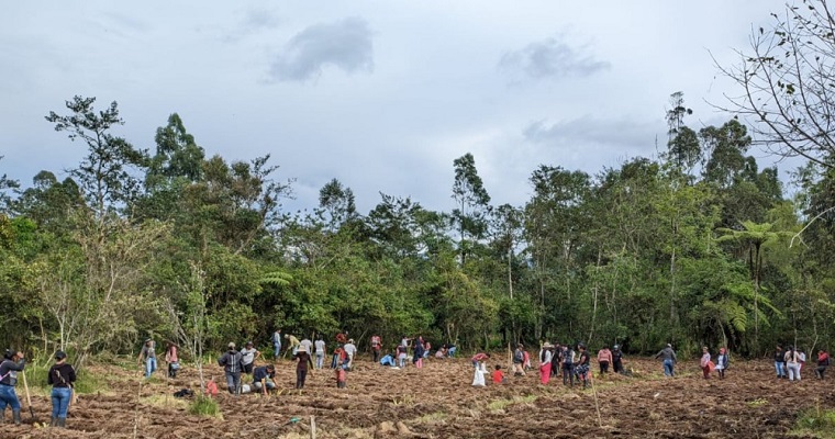 Sistema Territorial de Innovación - STI con enfoque diferencial del Pueblo Kamëntsá Biyá de Sibundoy – Putumayo