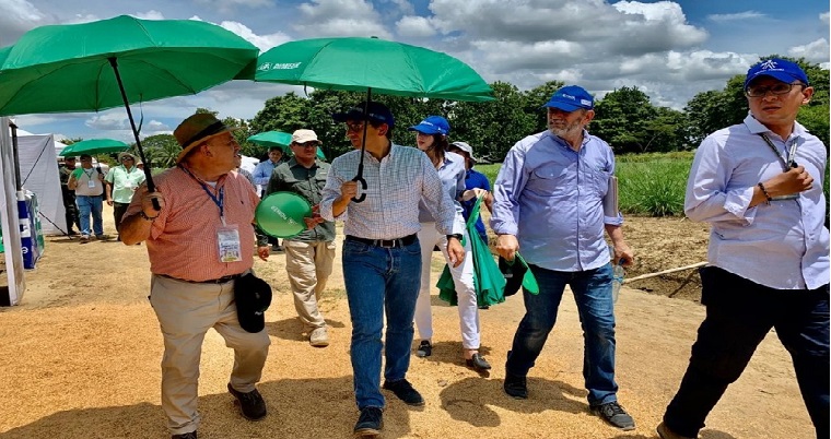 AGROSAVIA, participa en el IV Congreso de Semillas y desarrolla la XIII Reunión Latinoamericana de Maíz