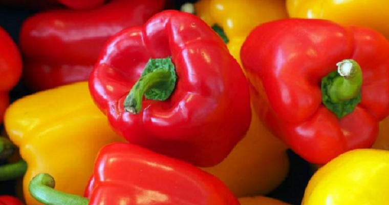 Colombia exporta el primer contenedor de pimentón hacia Estados Unidos