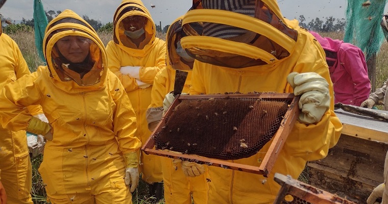 Participa en el XX Congreso Nacional y Encuentro de Apicultores