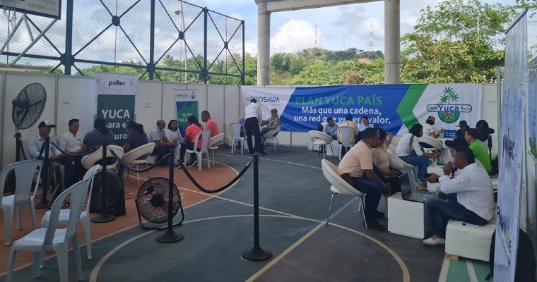 El Encuentro de Actores de la Cadena de la Yuca será el espacio para la negociación, interacción y discusión en busca de acciones conjuntas para el cierre de brechas en esta cadena de valor