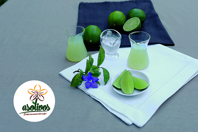 ZUMO Y NÉCTAR DE LIMÓN