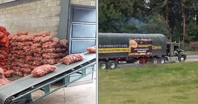 Gobierno inicia compra pública de papa para apoyar a productores y fortalecer la seguridad alimentaria