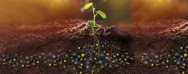 5 microbios que toda finca necesita para mejorar la productividad sin gastar de más