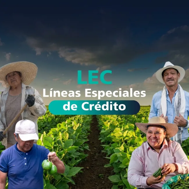 NOTICIAS_FINAGRO