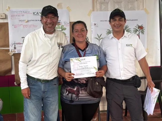 NOTICIAS_ICA