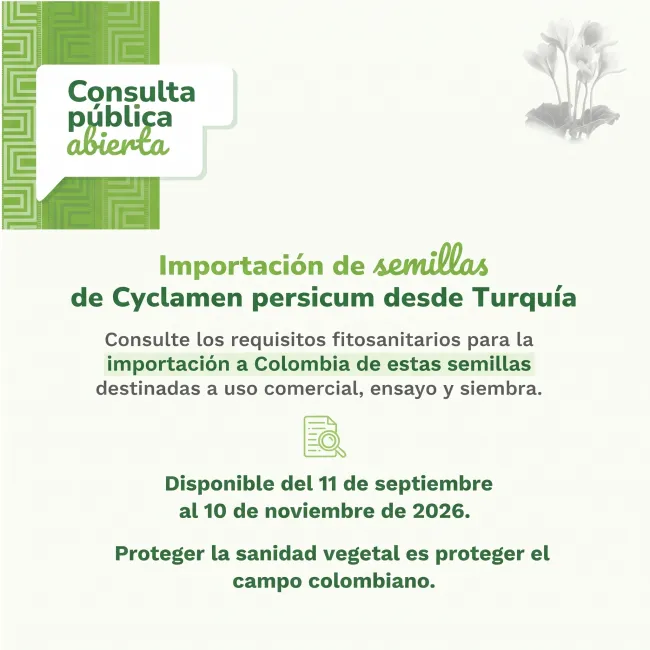 NOTICIAS_DNP