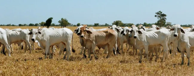 NOTICIAS_MINAGRICULTURA