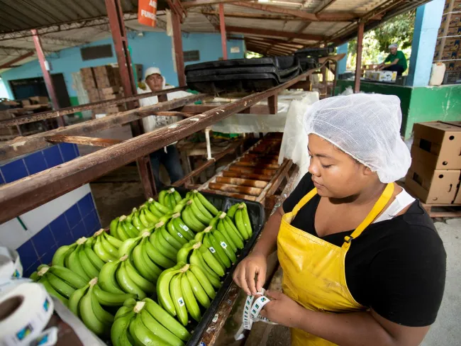 Comercio