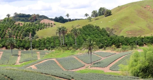 Reforma agraria pondrá lupa a la concentración y extranjerización de tierras productivas en Colombia