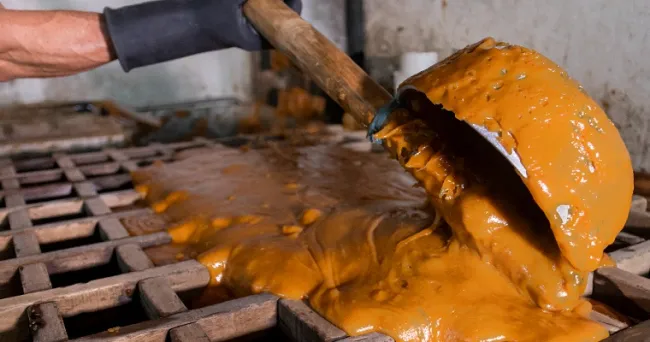 La panela colombiana conquista paladares en todo el mundo
