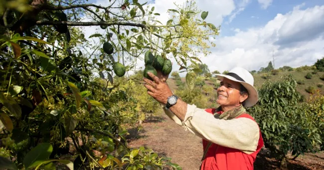 La UPRA socializó la Red Colaborativa de Infraestructura Agropecuaria