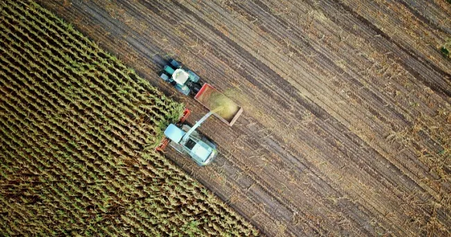 Construir un futuro con agricultura digital