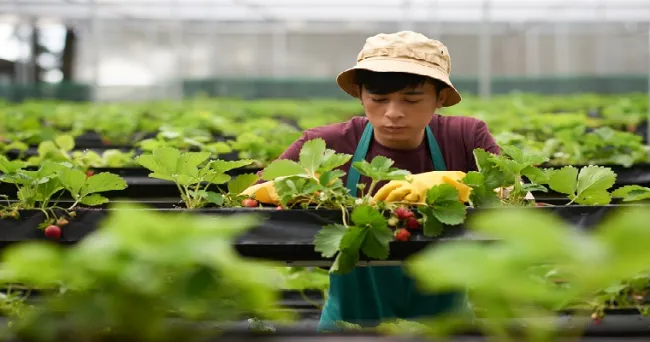Jóvenes de Sumapaz le apuestan a la agroecología