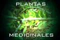 Congreso internacional de plantas medicinales y aromáticas 