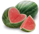 Sandia colombiana se exporta a Cuba