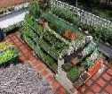En la localidad de Usme: Foro Agricultura Urbana y Mercado Verde
