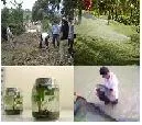 $333 Mil millones para convocatorias de tierra, riego, tecnología y piscicultura