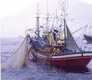 El 2007 fue un buen año para la acuicultura y la pesca en el Magdalena