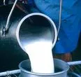 Panamá aplicaría el sistema de pago por calidad de la leche basada en el modelo de Colombia 